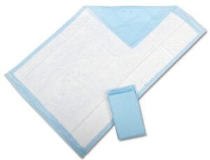 UNDERPADS ECONOMY 30 X 30  150/CS